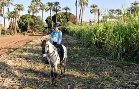 Horse Riding Eygpt-13