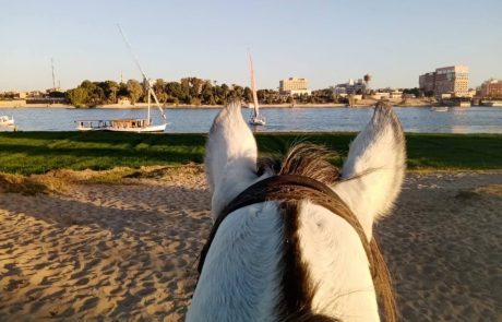 Horse Riding Eygpt-15