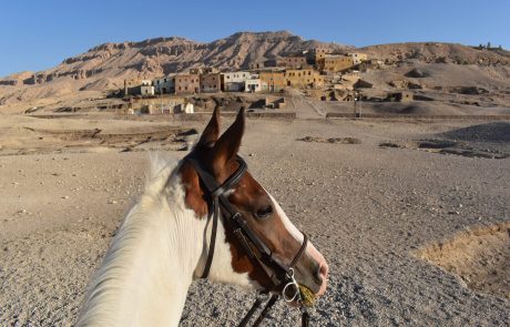 Horse Riding Eygpt-2