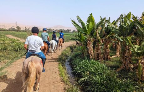 Horse Riding Eygpt-3