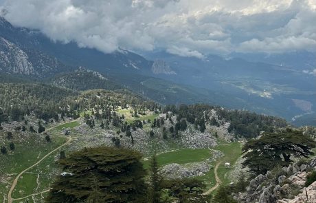 Horse-Riding-Antalya-12