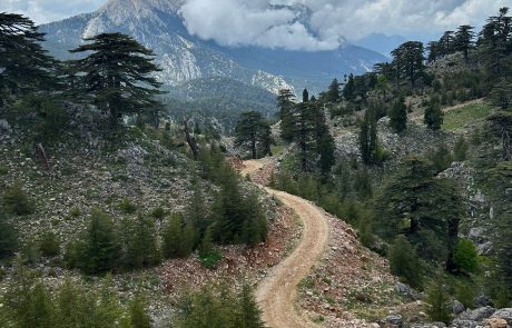 Horse-Riding-Antalya-22