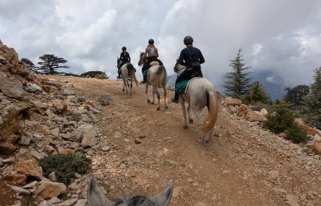 Horse-Riding-Antalya-8
