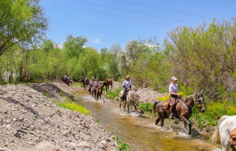 Horse Riding Cappadocia-8 Horse Riding Cappadocia camp