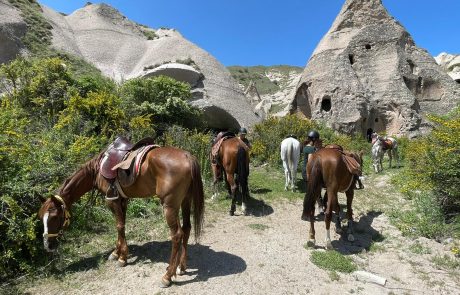 Horse Riding Cappadocia-9 Horse Riding holiday