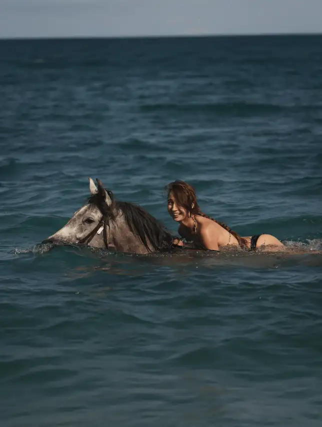 Horse Riding Travel